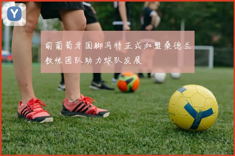 前葡萄牙国脚冯特正式加盟桑德兰教练团队助力球队发展